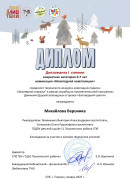 Новогодняя композиция Михайлова Вероника 