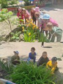 Научные исследования Наблюдения за растениями.