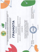 Грамота За участие в региональном этапе Всероссийского конкурса на лучший "Снежный городок Эколят-2023", 2023 г.