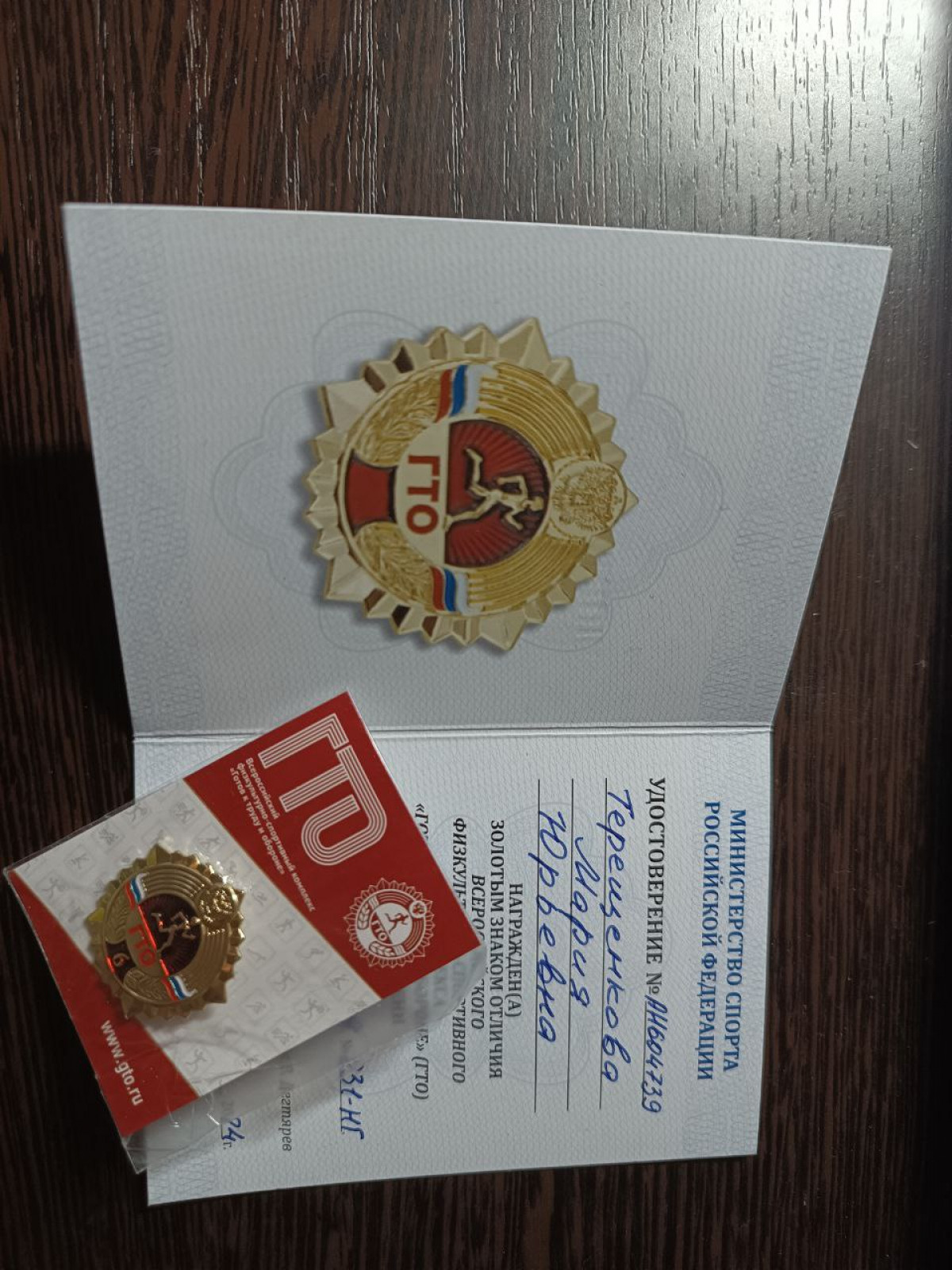 Мои достижения 2