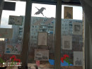 Сталинградские окна В память о ВОВ