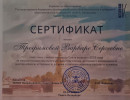 . Сертификат участника учебно-игрового Слёта вожатых 2025