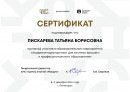 Академия кураторства. для системы высшего и профессионального  образования