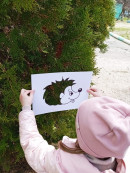 Весенняя прогулка Наблюдение в природе