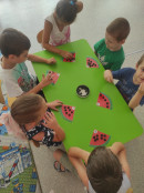 День веселого арбуза 3 группа