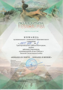 Команда в спорте - команда в жизни, март 2025. Районная спартакиада среди муниципальных дошкольных образовательных учреждений