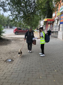 ЮИД Акции отряда ЮИД