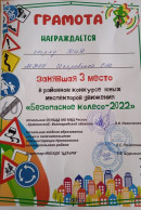 Юные инспекторы движения России Юные инспекторы движения России