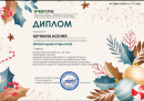 диплом диплом