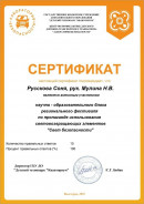 Свет безопасности региональный фестиваль по пропаганде использования световозвращающих элементов