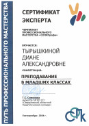 Абилимпикс. Доброволец отборочного этапа