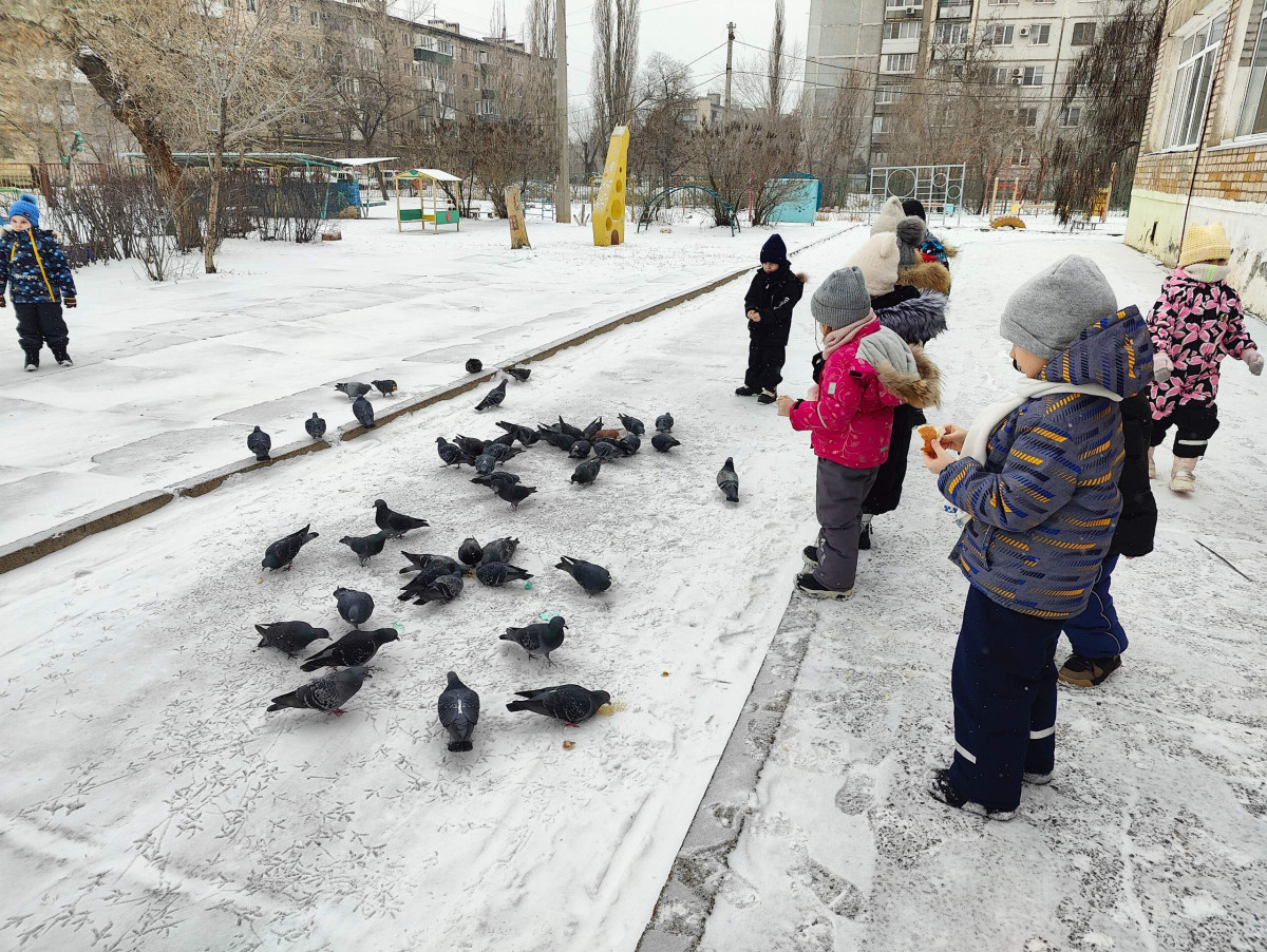 Акция "Покормите птиц зимой"