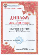 региональные конкурсы. 2021-2022г