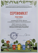 Грамоты, дипломы, сертификаты