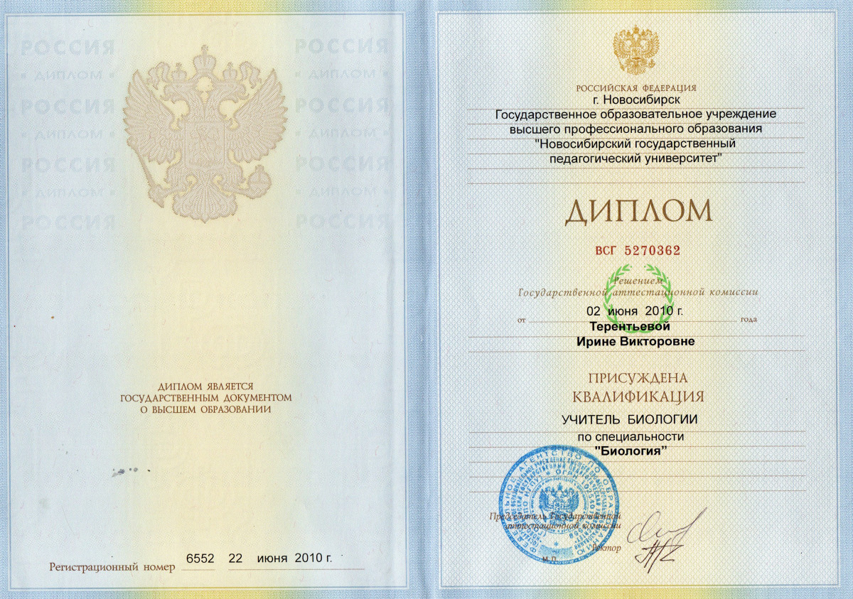 Документы об образовании