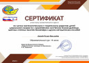 Логико- математическое и творческое развитие детей "Педагоги России: инновации в образовании"
