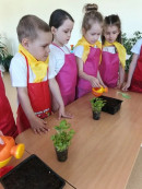 День Эколят Экологический праздник 