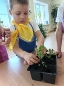 День Эколят Экологический праздник 
