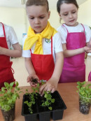 День Эколят Экологический праздник 