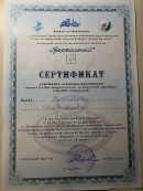 Семинар-практикум вожатых. Обучение вожатых