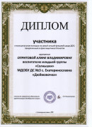 Диплом ФЛЕШМОБ ПРИУРОЧЕННЫЙ КО ДНЮ ЗАЩИТНИКА ОТЕЧЕСТВА