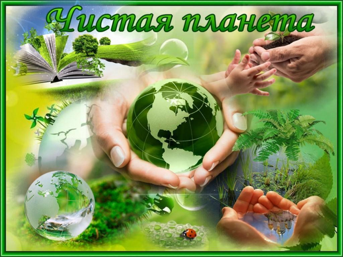 "Чистая планета "