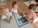 11 сентября 2026 