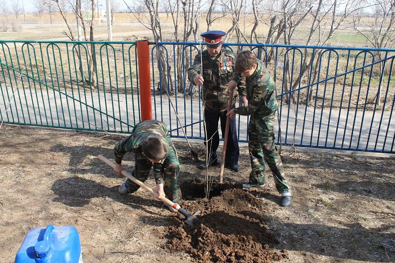 Школьная акция "Посади дерево" 