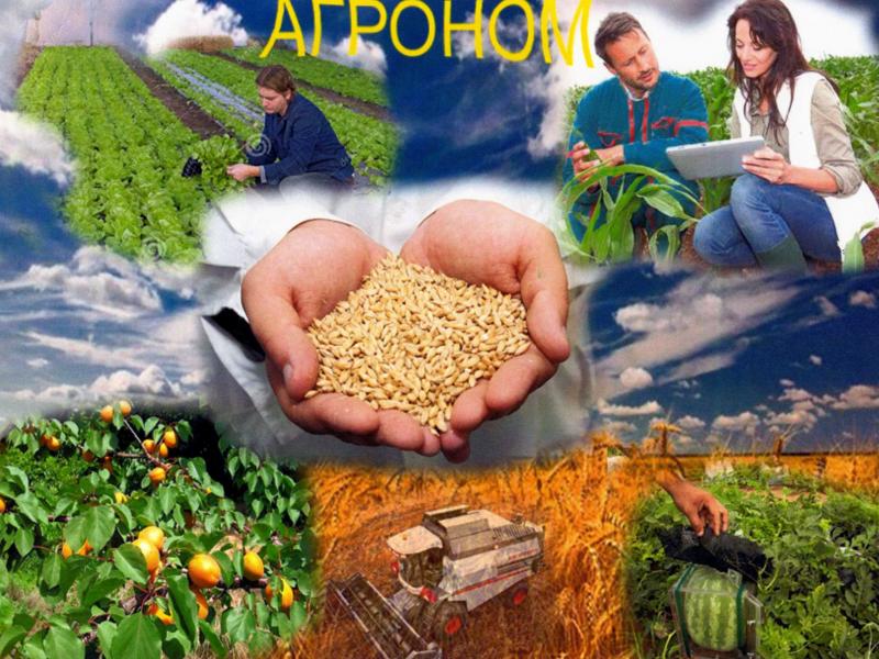 Агроном картинка для детей