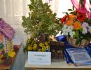 - Выставка цветочных композиций, 1-11 классы С 19 по 23 октября в лицее прошли мероприятия, посвященные Дню лицейского братства:
Выставка цветочных композиций, 1-11 классы
