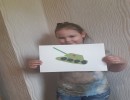 день победы день победы