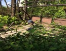 В парке Платон К.