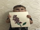 2 =