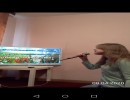 Домашнее караоке Наши дети на самоизоляции