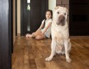 Мой любимый питомец. Я и мой любимчик!