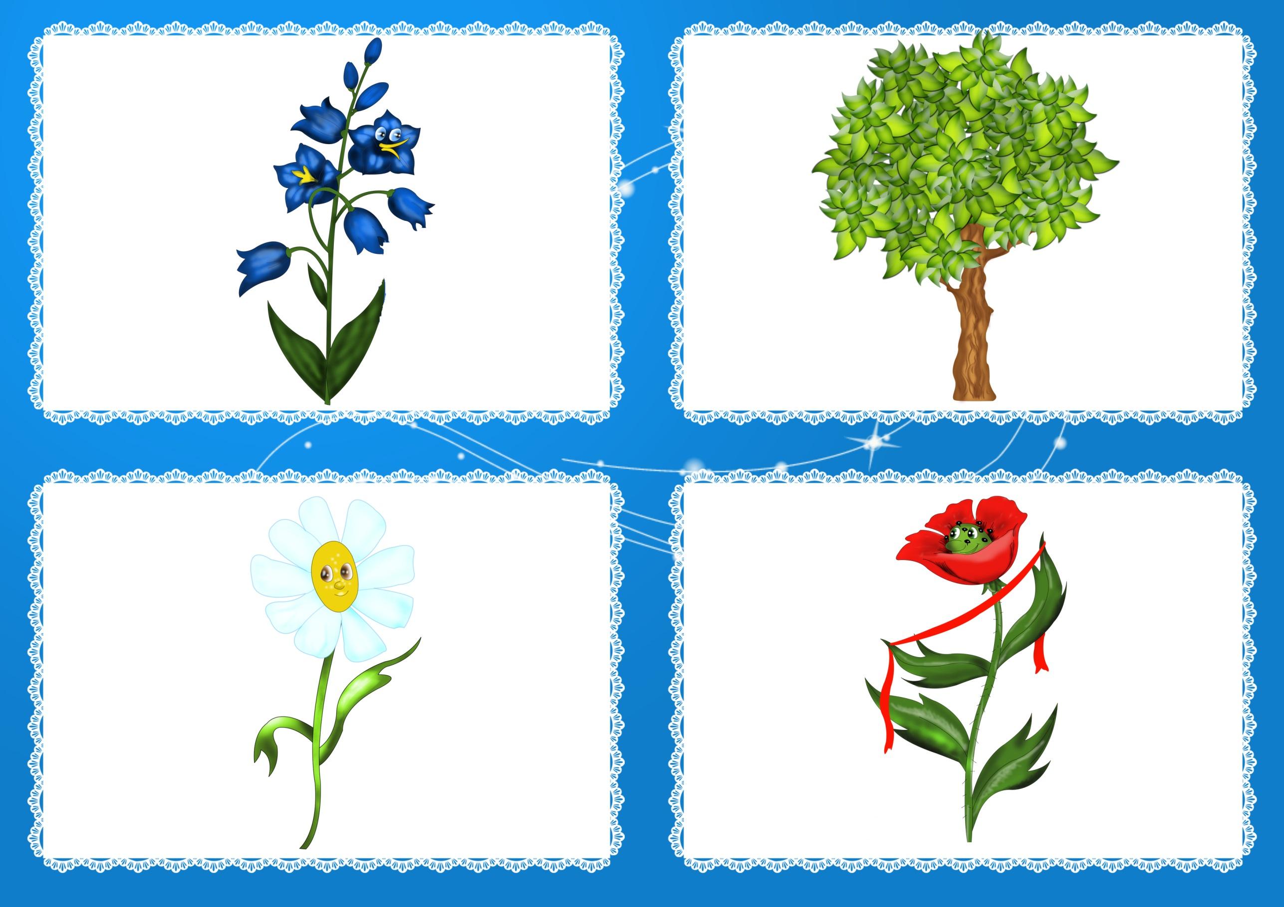 картинки цветов для дошкольников