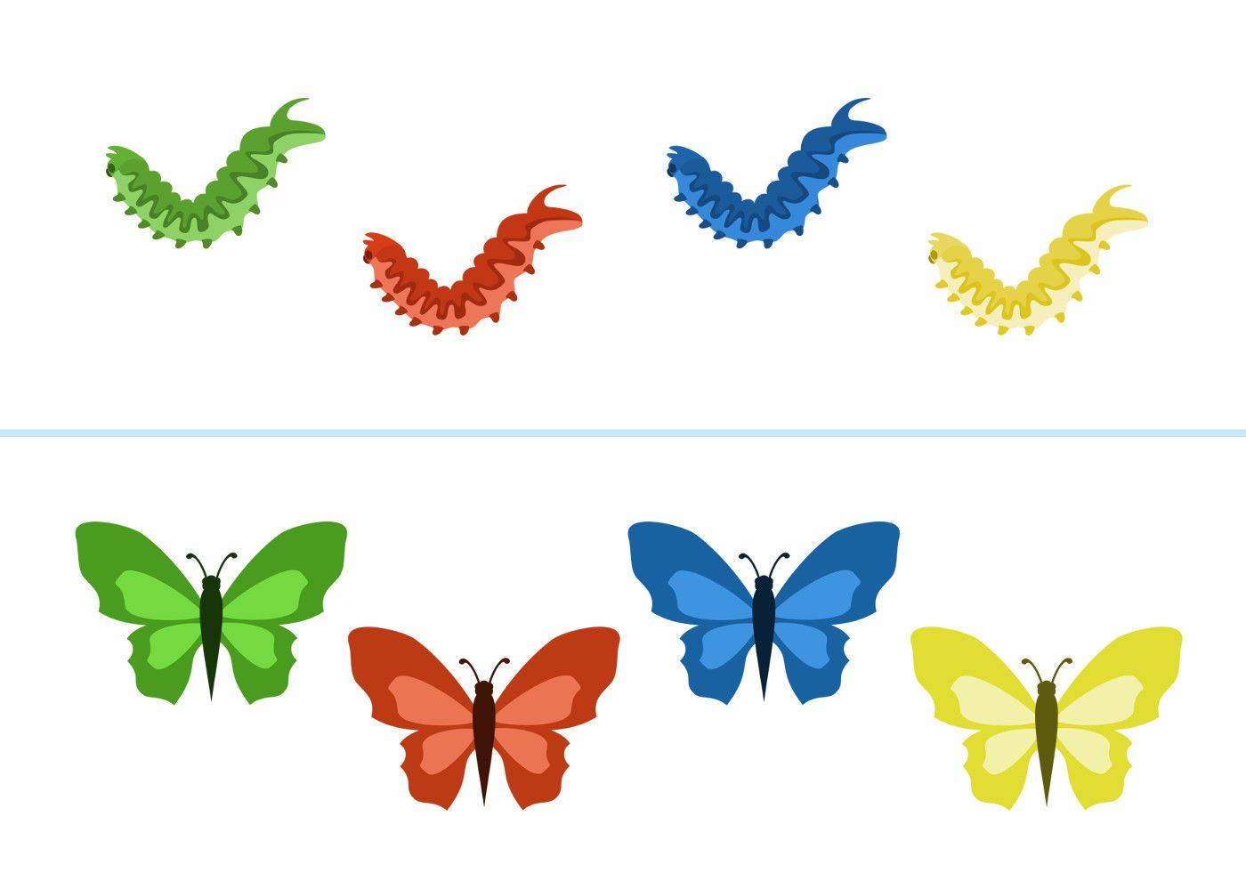 Задания с бабочками для дошкольников