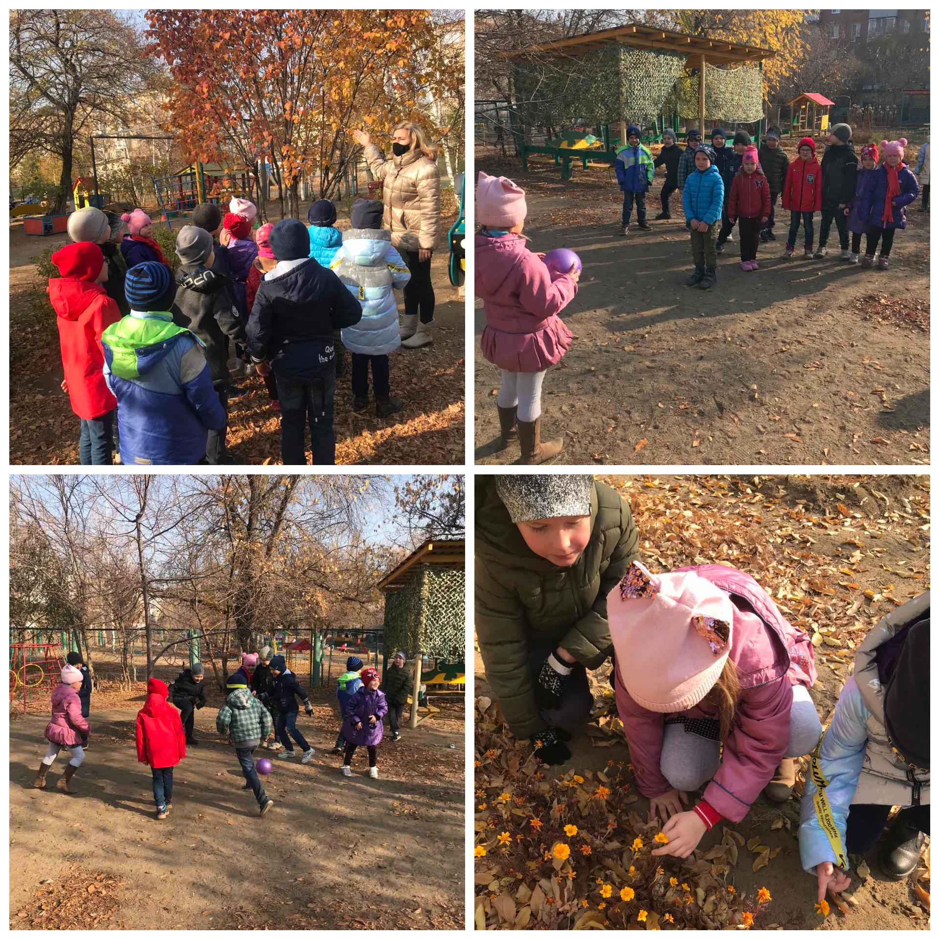 Осенняя прогулка в детском саду