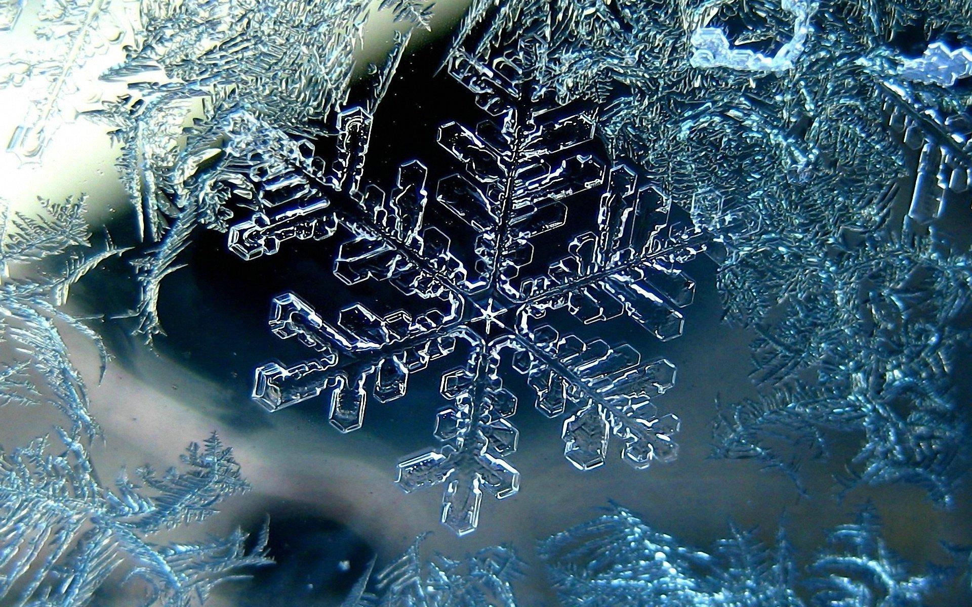 water-winter-macro-branch-ice-frost-biology-snowflake-fractal-art-580338.jpg
