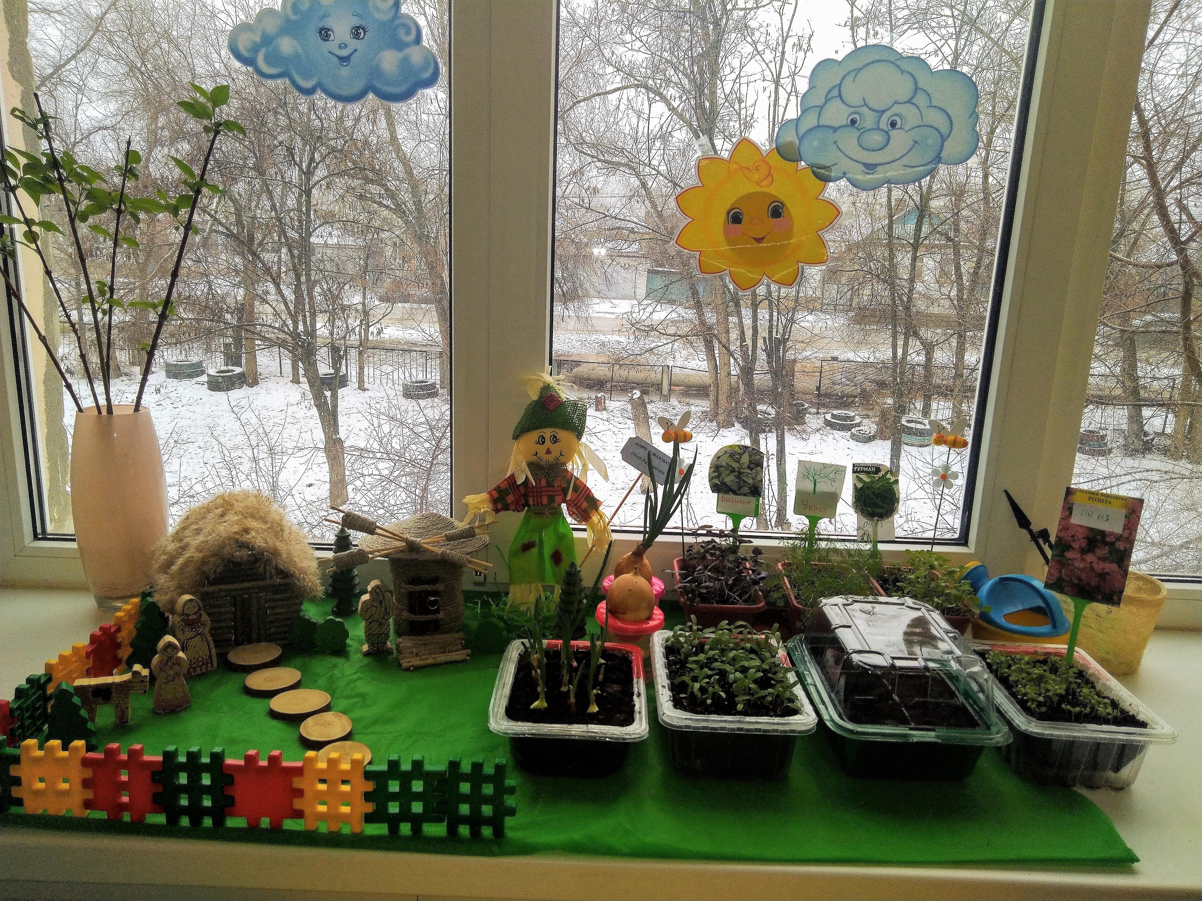 Фото огород на окне в детском саду