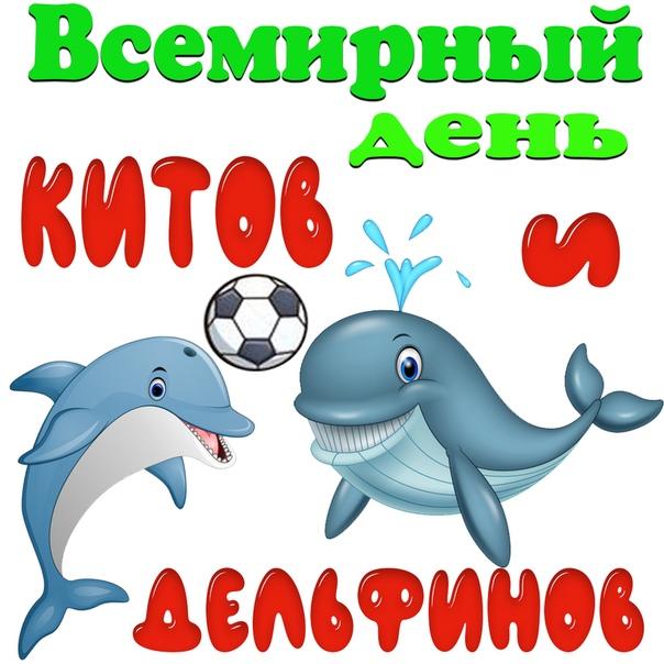 23 июля - Всемирный день китов и дельфинов - Ошколе.РУ