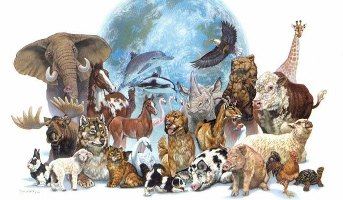 4-октября-всемирный-день-защиты-животных-картинки001.jpg