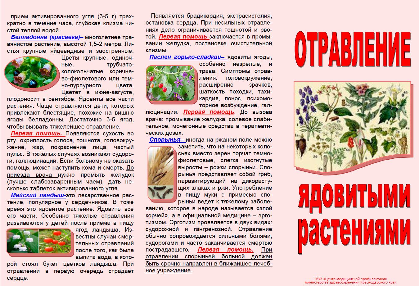 Ядовитые грибы и ягоды