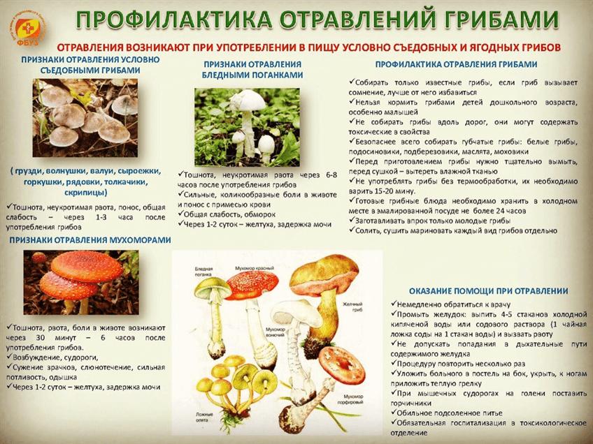 Отравление грибами
