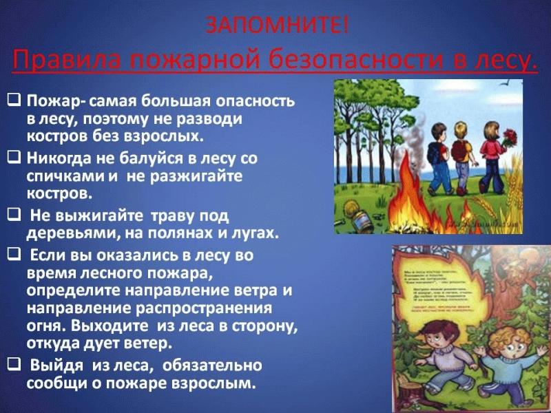 Пожарная безопасность в лесу для детей. Безопасность в лесу. Правила пожарной безопасности в лесу. Безопасное поведение на природе.