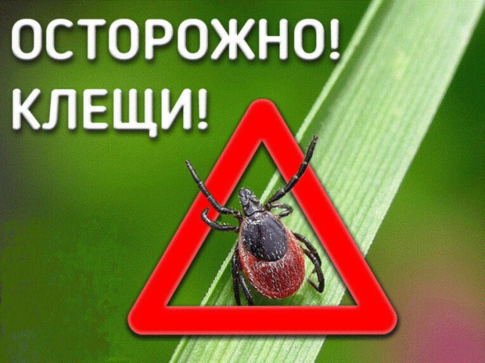 Осторожно!Клещи!