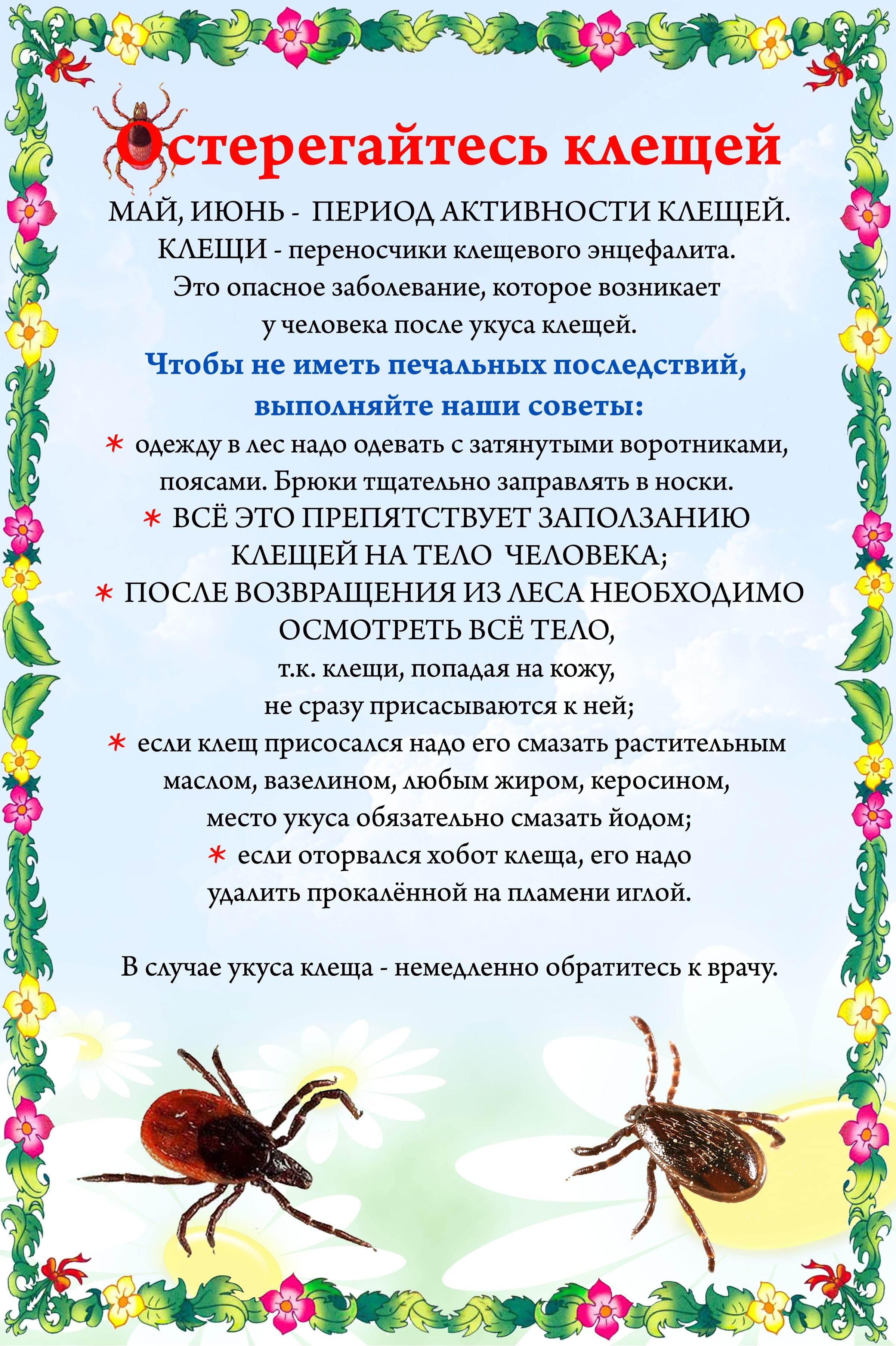 Страница воспитателя Визиренко Инны Анатольевны Кергетовой Елены Валерьевны  - Ошколе.РУ