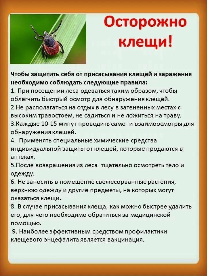 Уральские заводы разработали мобильные блиндажи для СВО