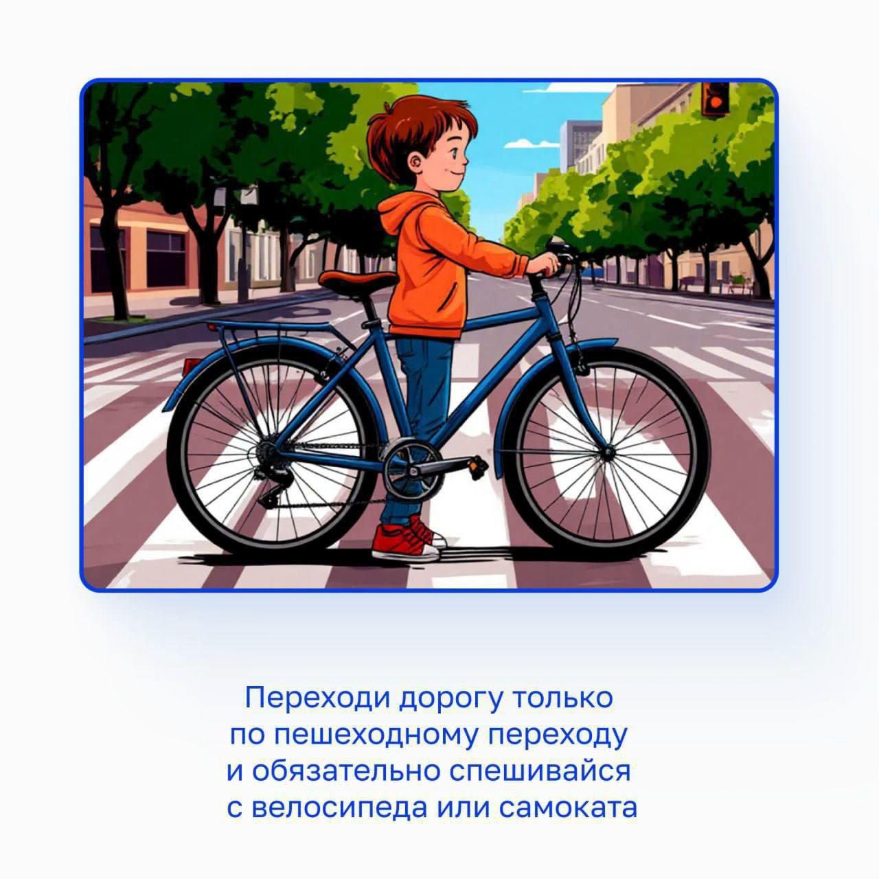 Правильно переходи дорогу