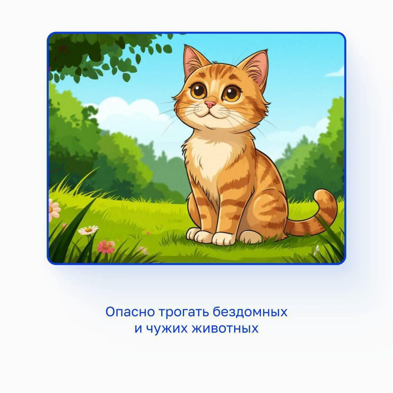 Не трогай бездомных и чужих животных